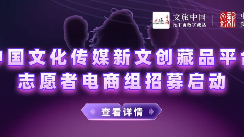 专业团队优势：**